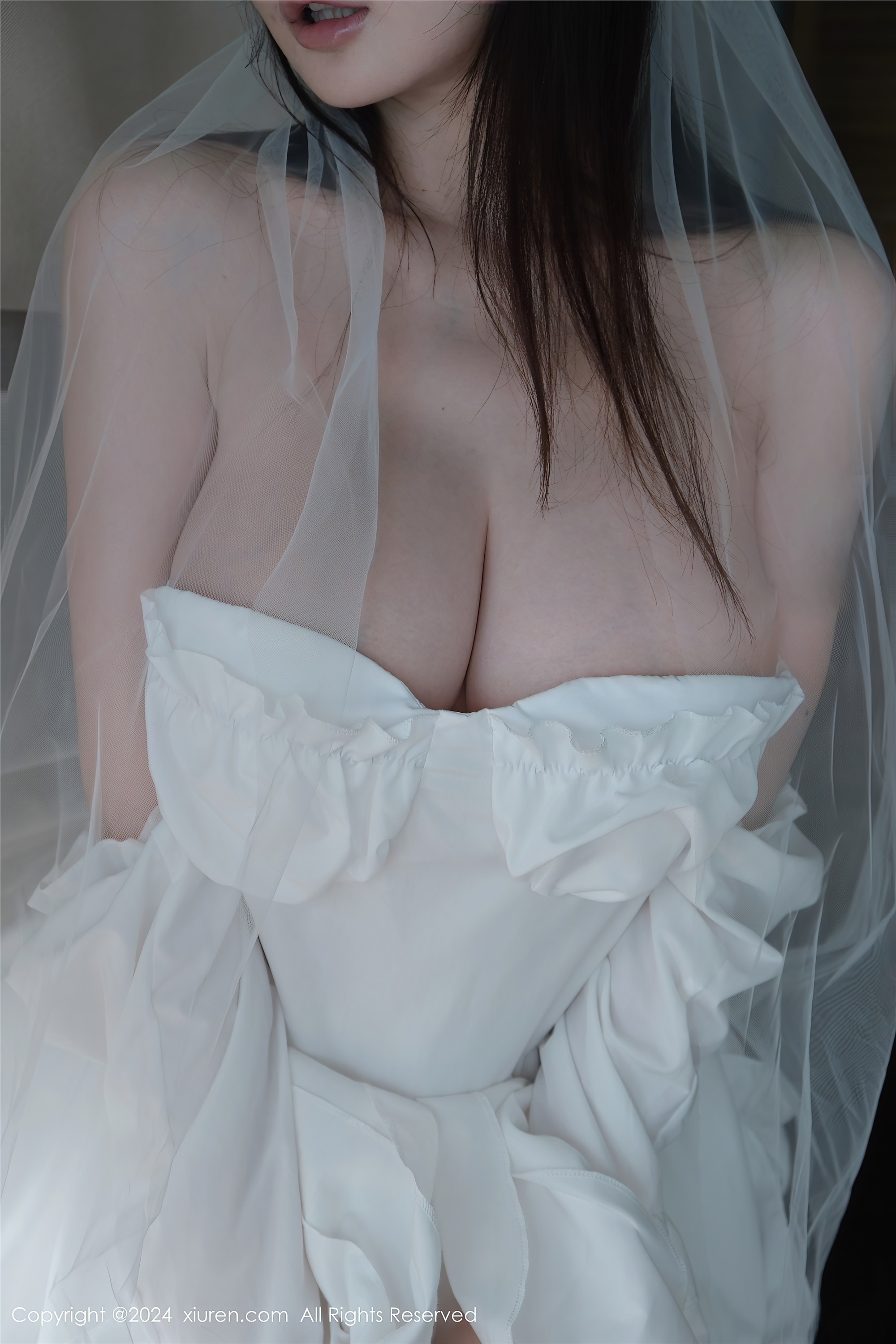 Xiuren秀人网 2024.12.02 NO.9535 糯美子MINIbabe